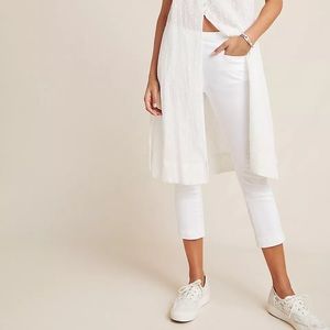 Pilcro and the Letterpress by Anthropologie High-Rise Legging Size 30